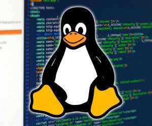 10 Shell Command Linux untuk Kelola Teks yang Wajib Anda Tahu
