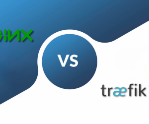 Traefik vs NGINX. Mana yang Cocok untuk Perusahaan Anda?