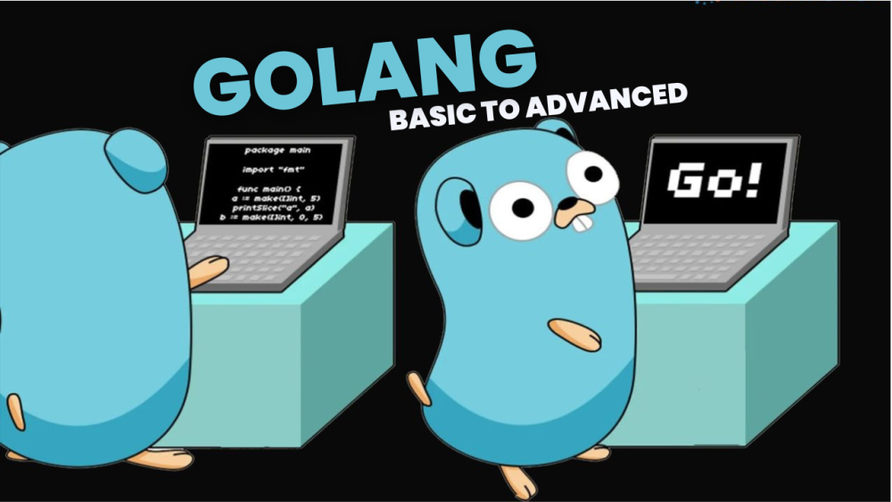 Kuasai Golang untuk Software Engineer : From Basic to Advanced