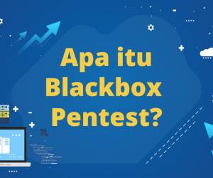 Blackbox Pentest, Arti dan Kegunaannya Dalam Dunia IT
